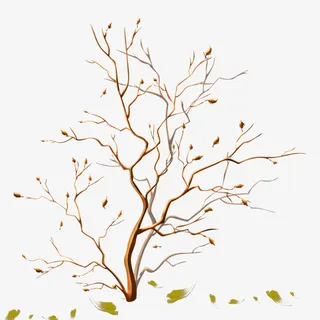 树枝图案免抠