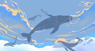 梦幻插图鲸鱼彩云免抠