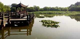 园林景观图片免抠