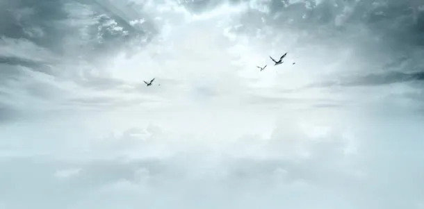 淡蓝天空飞鸟广阔天空免抠