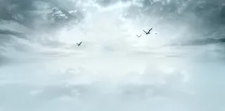 淡蓝天空飞鸟广阔天空免抠