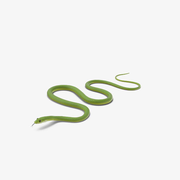 绿色青蛇爬行免抠