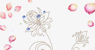 玫瑰花瓣菊花装饰免抠