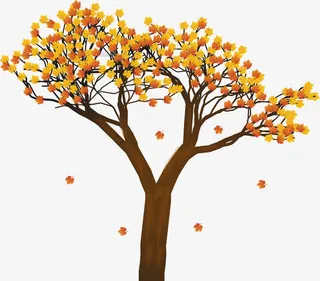 秋天的枫树免抠