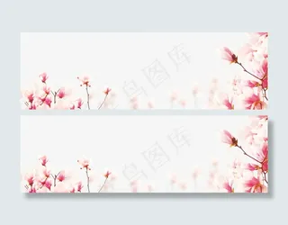 木槿花背景素材