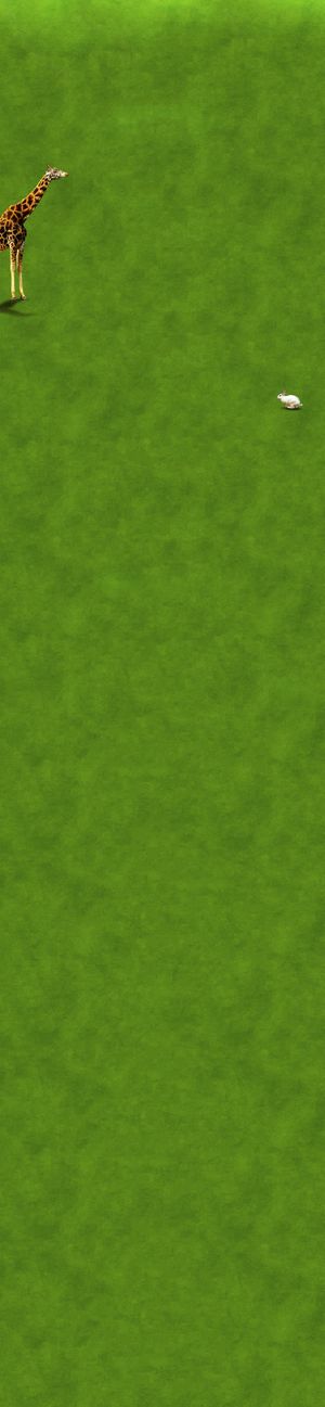 绿色清晰背景板长颈鹿