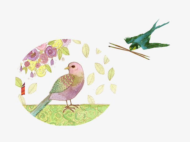 手绘喜鹊小鸟免抠