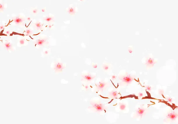 樱花飘落素材免抠