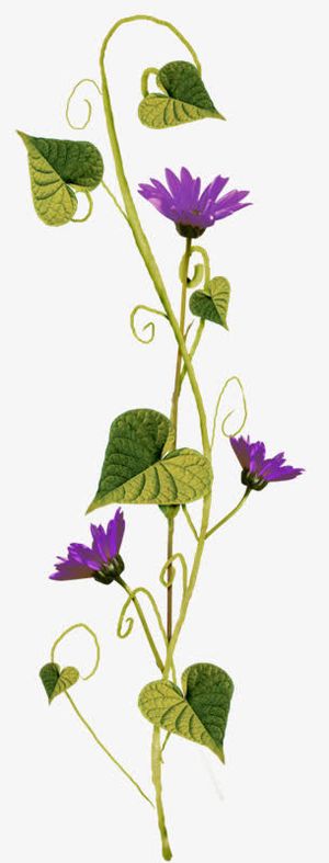 花枝花草蓝色花开绿叶藤蔓免抠