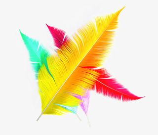 卡通彩色羽毛装饰素材免抠