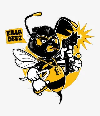 杀人小蜜蜂免抠