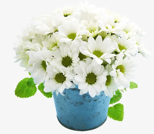 艺术插花免抠