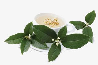 一碗桂花茶水免抠