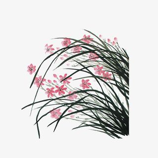 中国风国画植物花草免抠