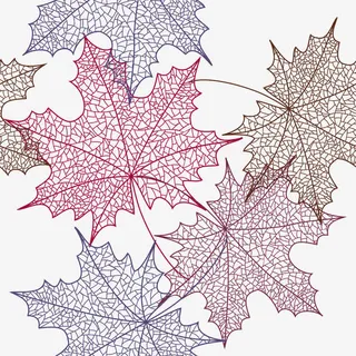 红色美丽枫叶免抠