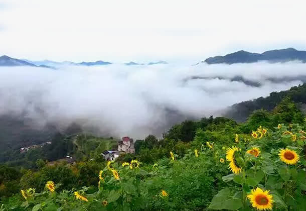高山云海免抠