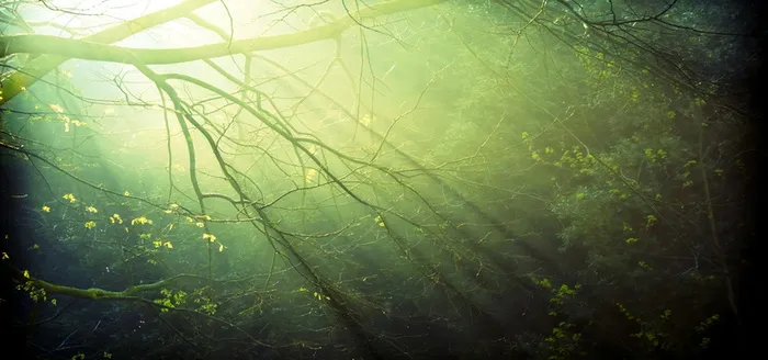 淘宝背景图高清