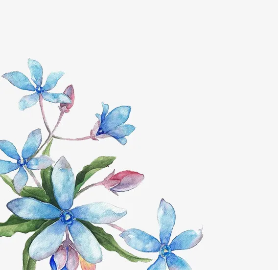 蓝色水彩手绘花朵装饰图案免抠