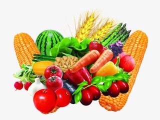 水果蔬菜西瓜玉米免抠