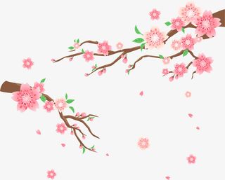 卡通春天花朵樱花装饰免抠
