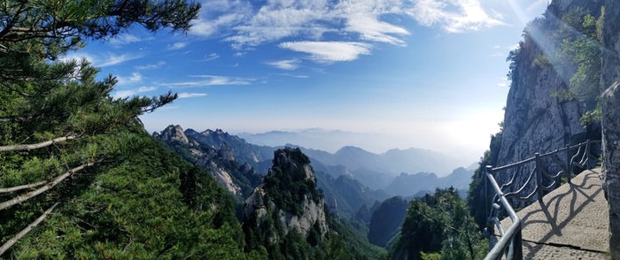 春天蓝天爬山 绿树 松树高清