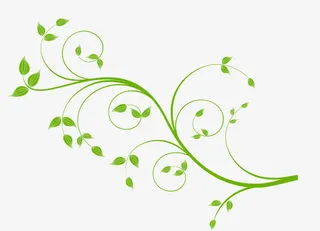 矢量绿色藤蔓免抠