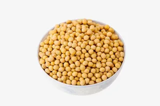 黄豆摄影免抠