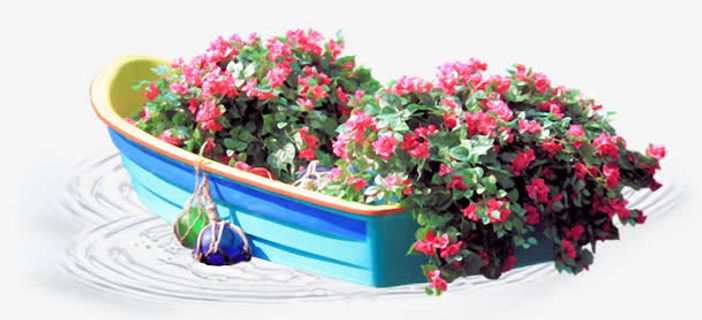 花朵边框边角装饰免抠