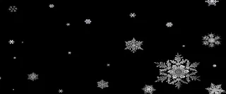黑底雪花纹理高清