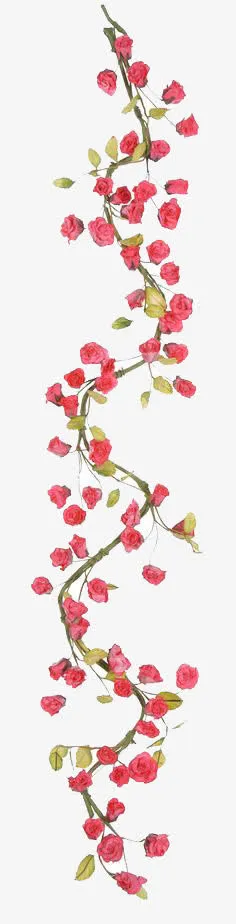 月季花免抠
