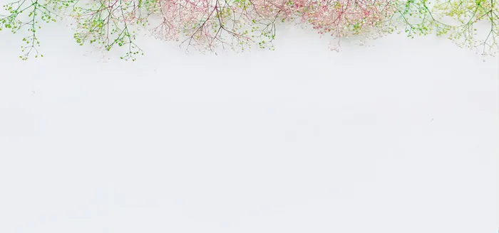 花草背景图片高清
