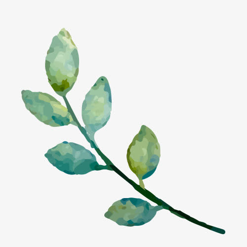 枝条免抠