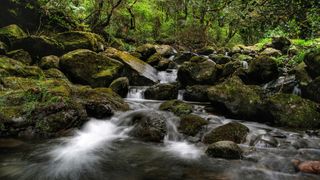 山林间的流水高清