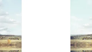 野外草地固定背景