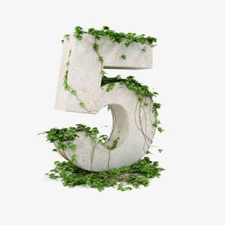 带藤蔓的立体字5免抠