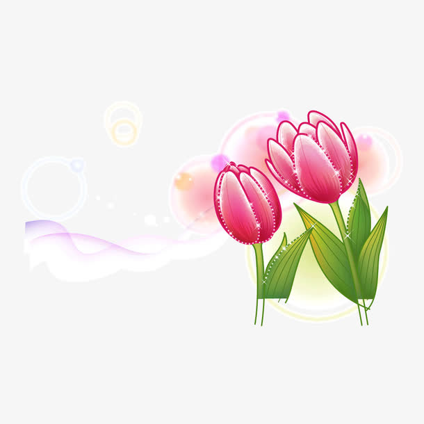 花卉花朵免抠