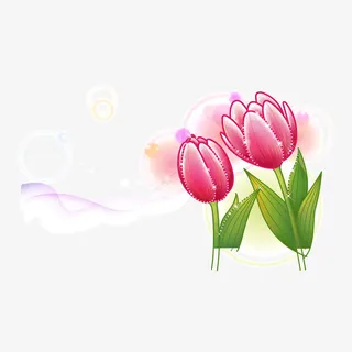 花卉花朵免抠 花卉花朵免抠