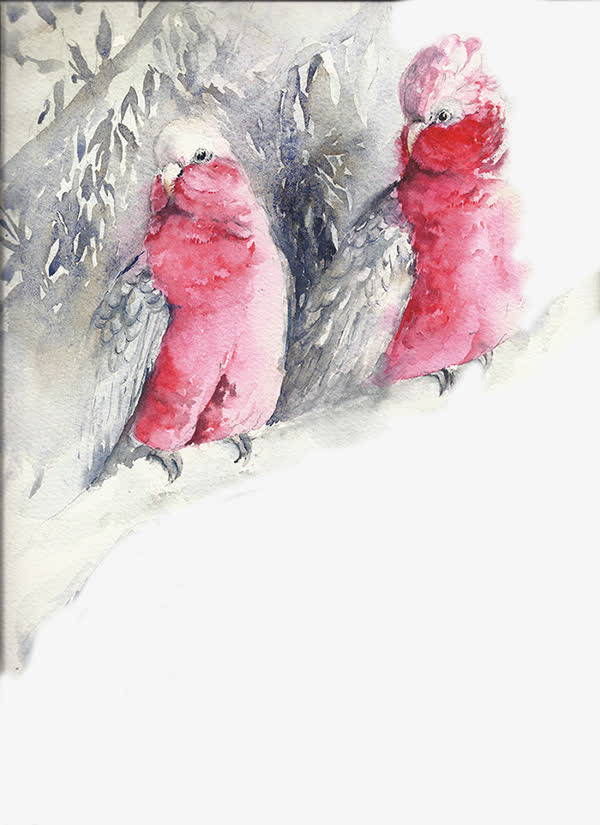 树上的鸟群免抠