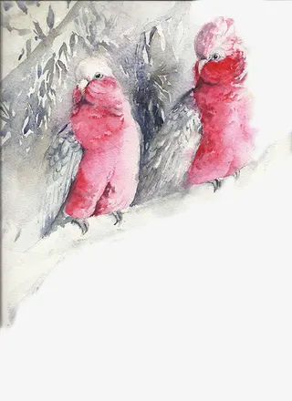 树上的鸟群免抠