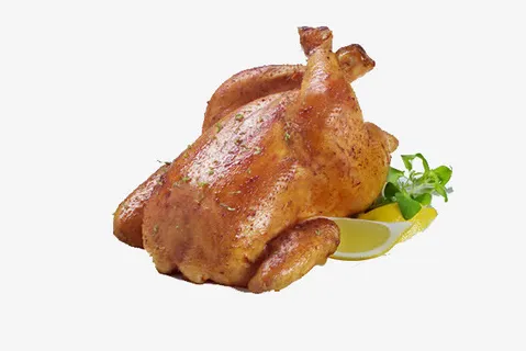 童子鸡图片免抠