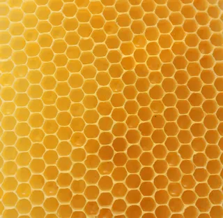 蜂巢背景底纹