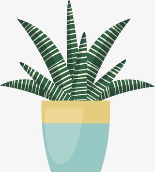 盆栽绿植PNG下载免抠