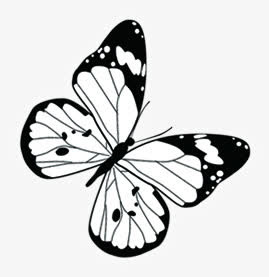 黑色线条蝴蝶开学季免抠