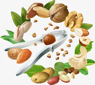 有益健康的坚果免抠