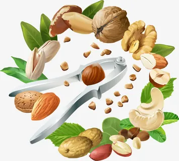 有益健康的坚果免抠 有益健康的坚果免抠