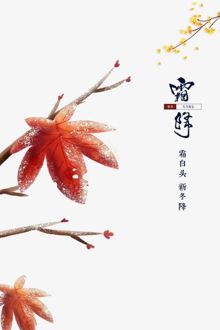 霜降节气手绘枫叶树枝元素图免抠