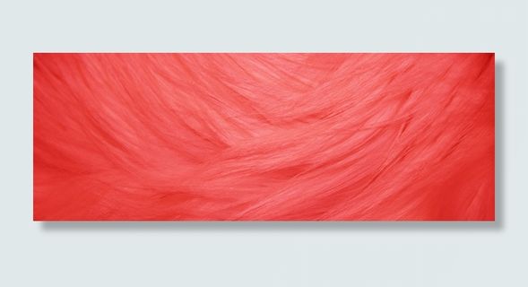 红色纹理背景高清