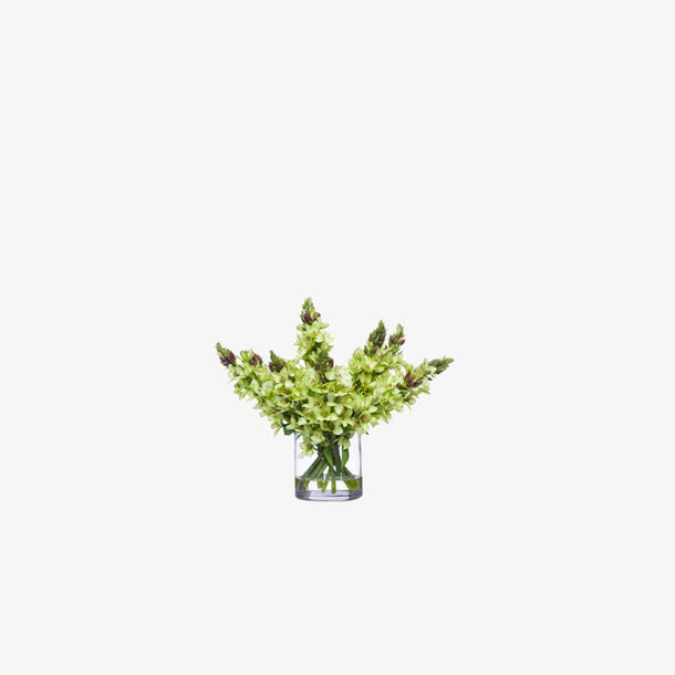 欧美流行插花 绿植物 鲜花软装免抠