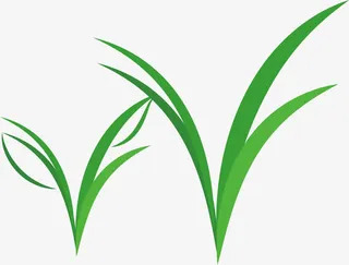 小草矢量图小草手绘免抠