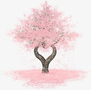 樱花，落地，飘洒，爱心免抠